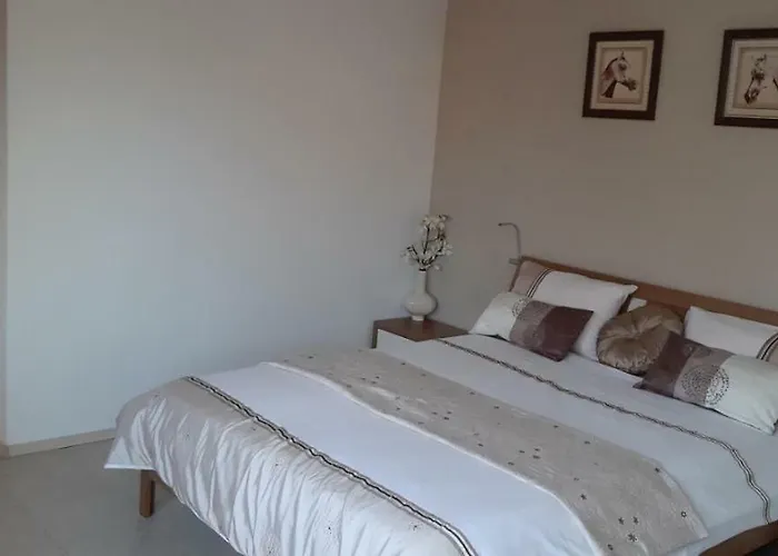 公寓 Rusalka Apart-residence